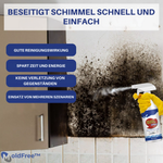 Charger l'image dans la galerie, 1+1 GRATIS | MoldFree™ Schimmelpilz-Entfernungsspray
