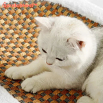 Charger l'image dans la galerie, ScratchNest™ Plüsch Katzenkorb mit Kratzfläche
